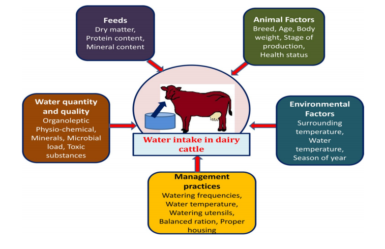 Figure 1 from A review on water intake in dairy cattle: associated factors