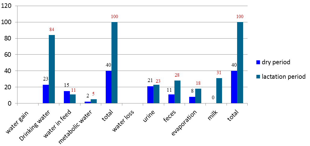 Water balance in a dairy cow during the dry period and during lactation, comparing water gain from drinking water, feed water and metabolic water with water loss through urine, feces, evaporation and milk